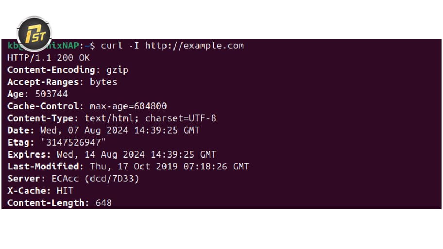 Kiểm tra kết nối proxy trên Ubuntu bằng lệnh curl với HTTP để xác nhận proxy đang hoạt động bình thường