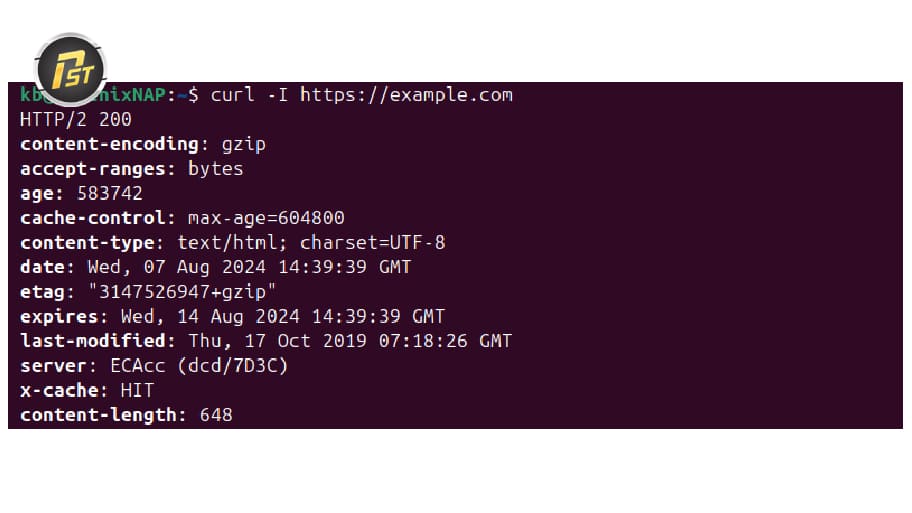 Kiểm tra kết nối proxy trên Ubuntu bằng lệnh curl với HTTPS để xác nhận proxy đang hoạt động bình thường