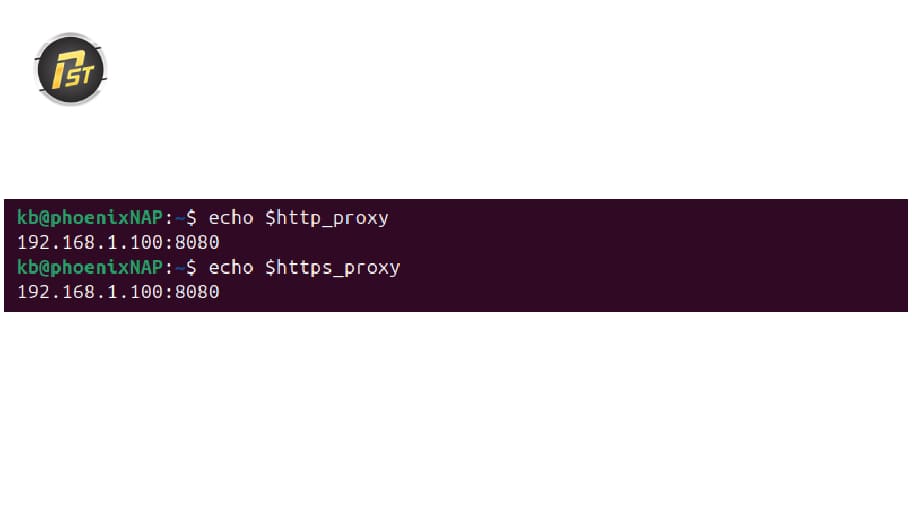 Kiểm tra proxy trên Ubuntu bằng lệnh echo để xác nhận các biến môi trường http_proxy và https_proxy đã được thiết lập đúng chưa