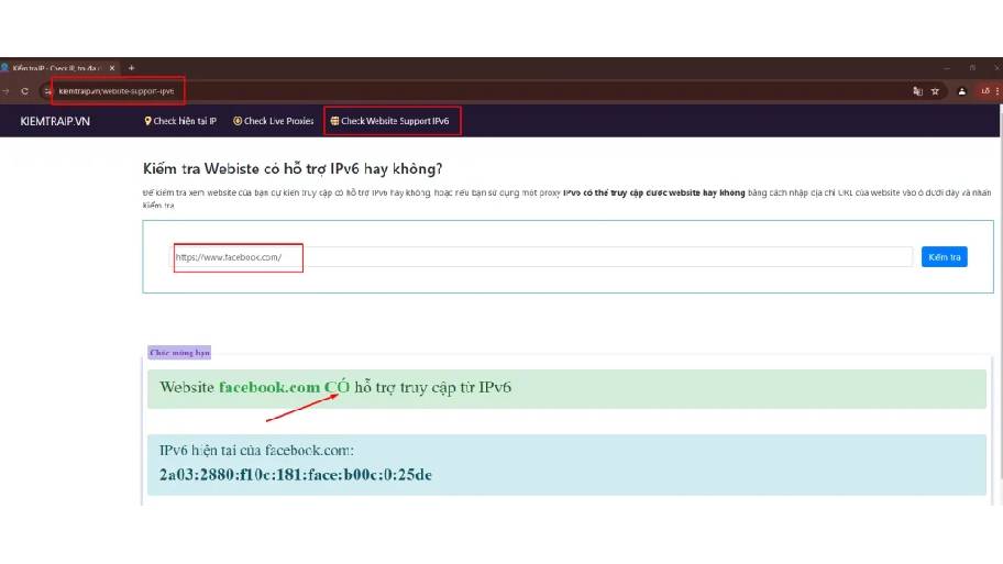 Cách kiểm tra website có IPv6 nhanh bằng công cụ kiemtraip.vn